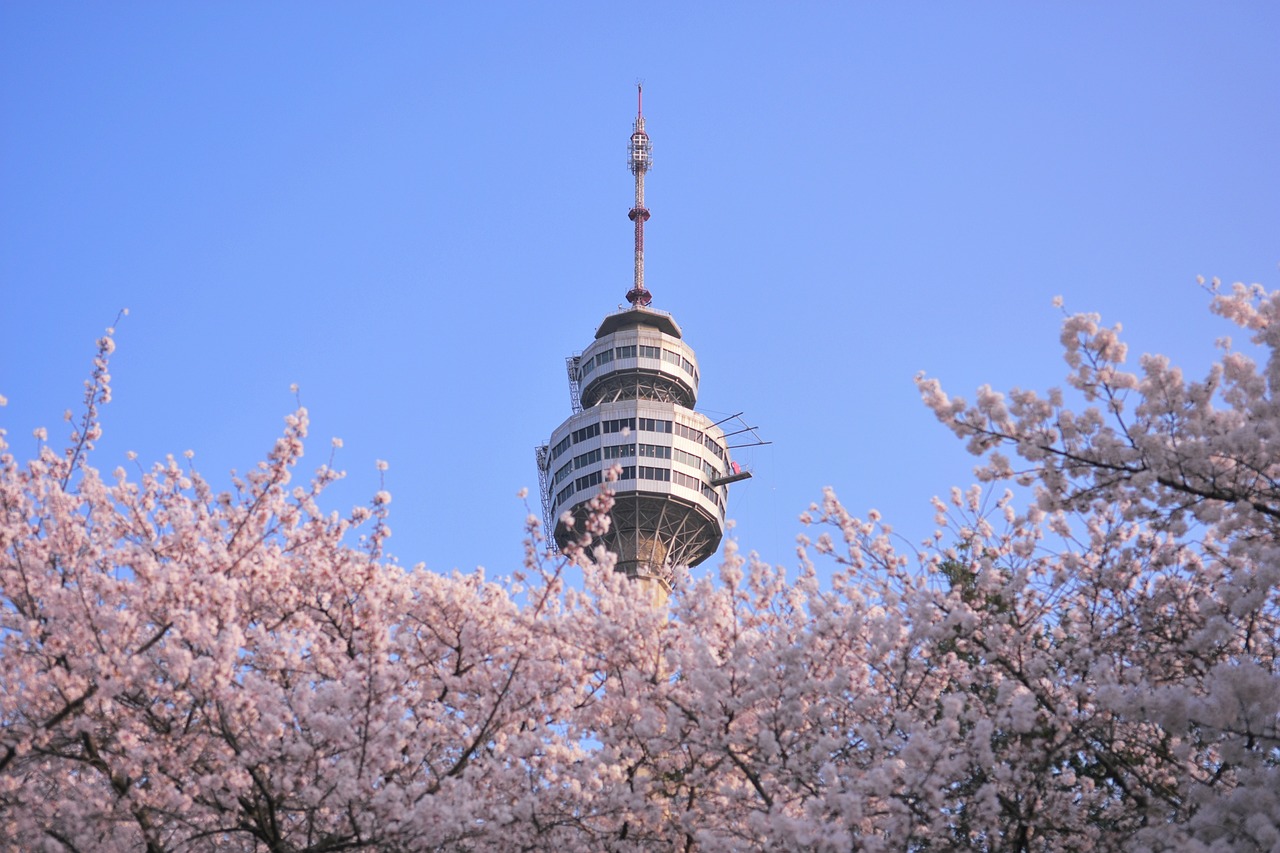 2024年11月 第108页